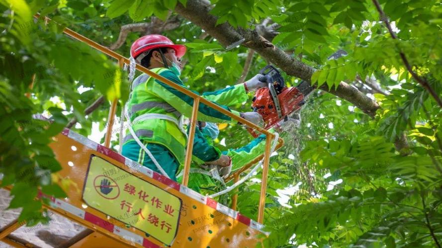 绿化工程雨天施工方案