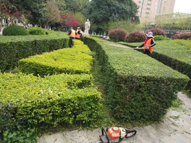 珠海花园园林绿化工程设计