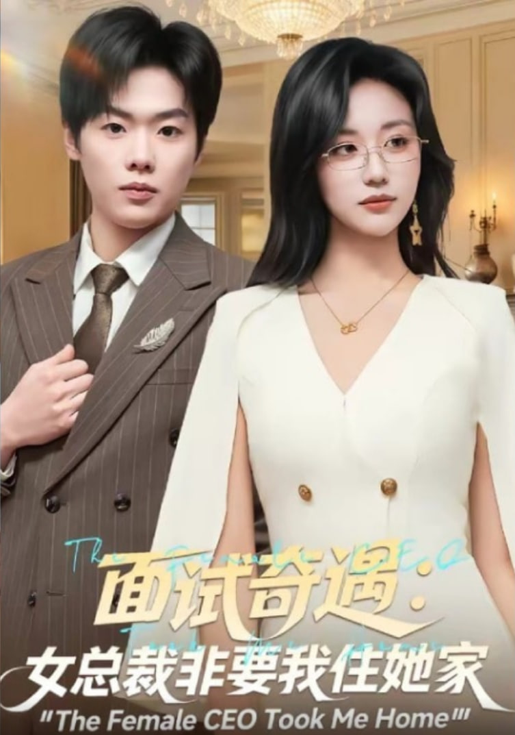 风骚律师6